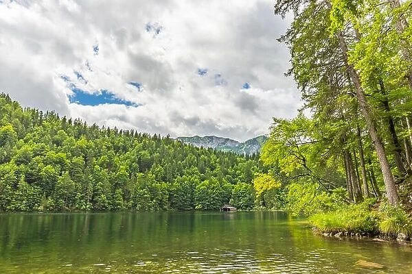 Beautiful mountain lake in the forest, bright summer day. Tranquil nature landscape, green pine trees and calm sunshine