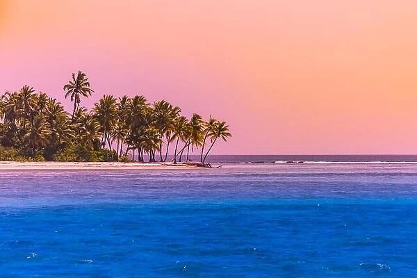 Beautiful palm trees silhouette on sunset tropical beach. Tranquil artistic twilight beach landscape, calmness and inspiration