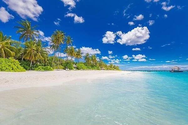 Beautiful palm trees on tropical island beach, blue sky with white clouds and turquoise ocean lagoon on sunny day. Amazing natural summer landscape