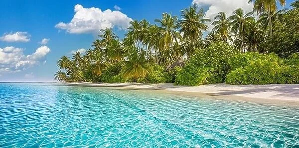 Beautiful palm trees on tropical island beach blue sky with white clouds and turquoise ocean lagoon on sunny day. Amazing natural landscape for summer
