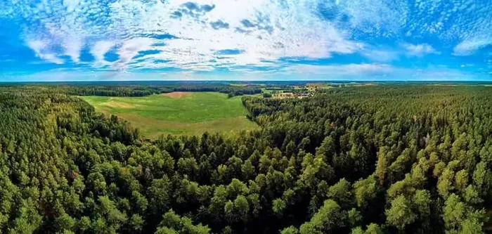 Framed Print : Beautiful panoramic aerial drone view to Bialowieza Forest - one of the last Framed Print : Beautiful panoramic aerial drone view to Bialowieza Forest - one of the last
