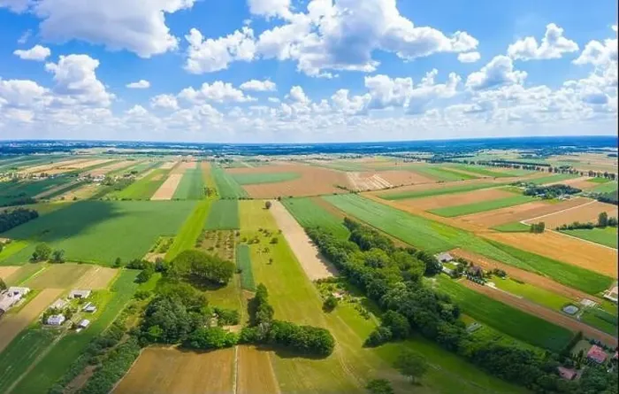 Framed Print : Beautiful panoramic aerial view photo from flying drone to Meadow with dandelions on a sunny day Framed Print : Beautiful panoramic aerial view photo from flying drone to Meadow with dandelions on a sunny day