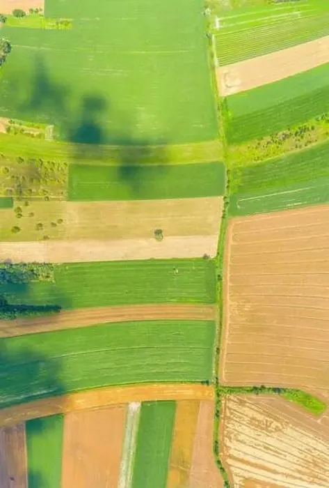 Framed Print : Beautiful panoramic aerial view photo from flying drone to Meadow with dandelions on a sunny day Framed Print : Beautiful panoramic aerial view photo from flying drone to Meadow with dandelions on a sunny day