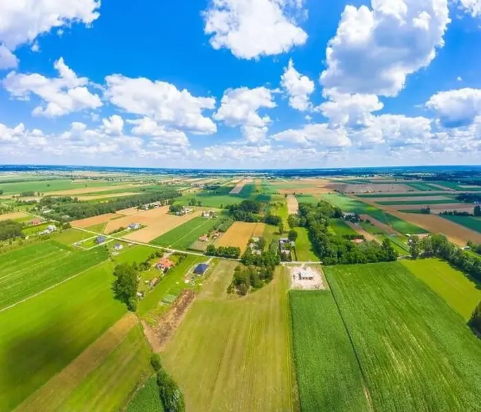 Framed Print : Beautiful panoramic aerial view photo from flying drone to Meadow with dandelions on a sunny day Framed Print : Beautiful panoramic aerial view photo from flying drone to Meadow with dandelions on a sunny day