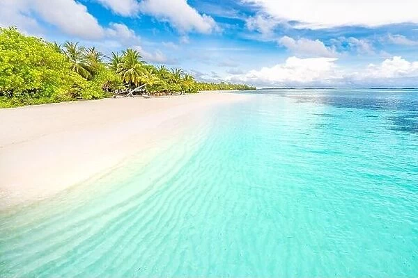 Beautiful relax beach tropical blue sea. Wonderful beach nature. Luxury resort background for summer vacation and holiday. Exotic beach, vibes, mood