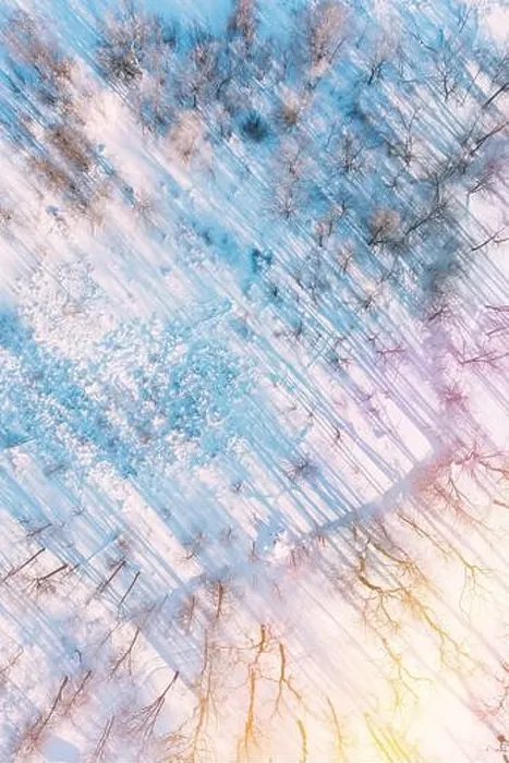 Framed Print : Beautiful Snowy White Frozen Frosted Trees Park In Winter Sunny Frosty Day. Long Woods Shadows. Aerial View Amazing Forest. Landscape Scenic View Of Framed Print : Beautiful Snowy White Frozen Frosted Trees Park In Winter Sunny Frosty Day. Long Woods Shadows. Aerial View Amazing Forest. Landscape Scenic View Of
