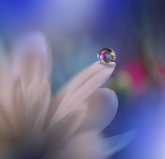 Framed Print : Beautiful Spring Nature Background.Abstract Macro Photography.Artistic closeup concept.Web Banner for design and website.Amazing Colorful Wallpaper Framed Print : Beautiful Spring Nature Background.Abstract Macro Photography.Artistic closeup concept.Web Banner for design and website.Amazing Colorful Wallpaper