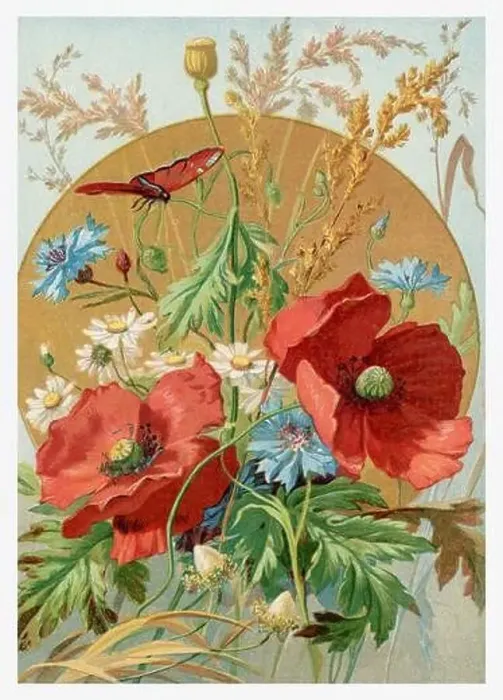 Framed Print : Beautiful Summer Flowers. Seasonal illustration of The illustrated London Almanack (1845 to 1895) Framed Print : Beautiful Summer Flowers. Seasonal illustration of The illustrated London Almanack (1845 to 1895)