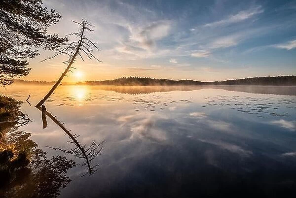 Beautiful sunrise landscape with tree reflection and calm lake at foggy summer morning in Finland