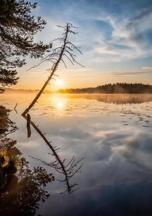 Framed Print : Beautiful sunrise landscape with tree reflection and calm lake at foggy summer morning in Finland Framed Print : Beautiful sunrise landscape with tree reflection and calm lake at foggy summer morning in Finland