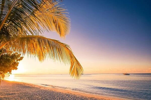 Beautiful sunset on the beach, palm leaves and calm sea view. Tranquil exotic landscape. Tropical beach background concept