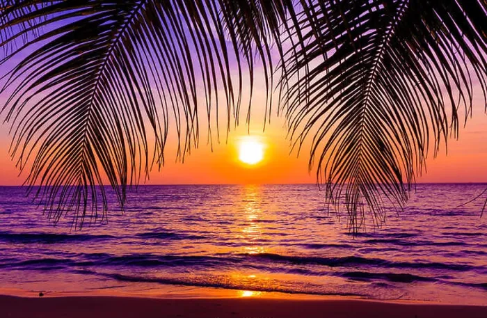 Framed Print : Beautiful sunset. Sunset over the ocean with tropical palm trees. Paradise beach Framed Print : Beautiful sunset. Sunset over the ocean with tropical palm trees. Paradise beach