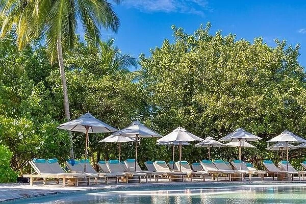 Beautiful swimming pool with loungers, chairs under umbrella. Luxury tropical swimming pool, palm trees on tropical nature pattern