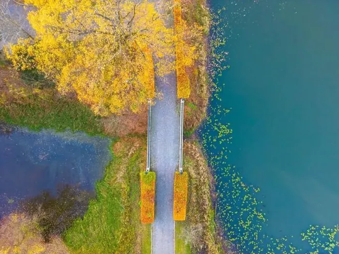 Framed Print : Beautiful travel or tourism style look down aerial of pedestrian foot bridge across River at park with colorful fall Framed Print : Beautiful travel or tourism style look down aerial of pedestrian foot bridge across River at park with colorful fall