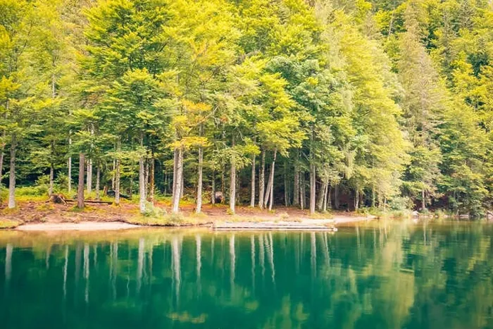 Framed Print : Beautiful trees, lake reflection, tranquil nature. Forest and mountain pass, relaxing scenery. Artistic nature background, trees and lake view Framed Print : Beautiful trees, lake reflection, tranquil nature. Forest and mountain pass, relaxing scenery. Artistic nature background, trees and lake view