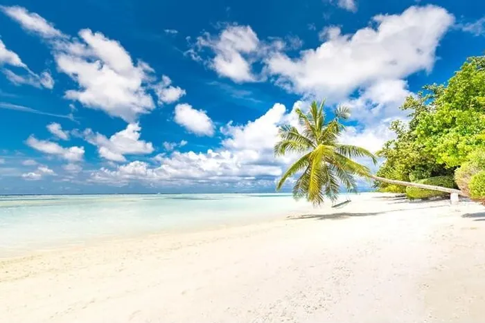 Framed Print : Beautiful tropical beach banner. White sand and coco palms travel tourism wide panorama background concept. Amazing beach landscape. Luxury summer Framed Print : Beautiful tropical beach banner. White sand and coco palms travel tourism wide panorama background concept. Amazing beach landscape. Luxury summer