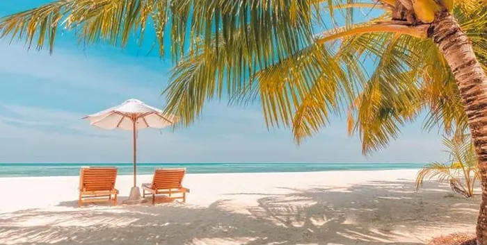 Framed Print : Beautiful tropical beach banner. Luxury travel white sand and coco palms travel tourism wide panorama background concept. Amazing beach landscape Framed Print : Beautiful tropical beach banner. Luxury travel white sand and coco palms travel tourism wide panorama background concept. Amazing beach landscape