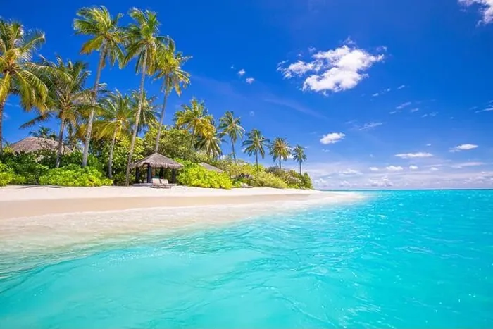 Framed Print : Beautiful tropical beach banner. White sand and coco palms travel tourism panorama. Amazing inspire beach landscape. Luxury island vacation holiday Framed Print : Beautiful tropical beach banner. White sand and coco palms travel tourism panorama. Amazing inspire beach landscape. Luxury island vacation holiday