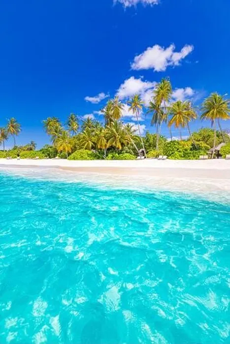 Framed Print : Beautiful tropical beach banner. White sand and coco palms travel tourism panorama. Amazing inspire beach landscape. Luxury island vacation holiday Framed Print : Beautiful tropical beach banner. White sand and coco palms travel tourism panorama. Amazing inspire beach landscape. Luxury island vacation holiday