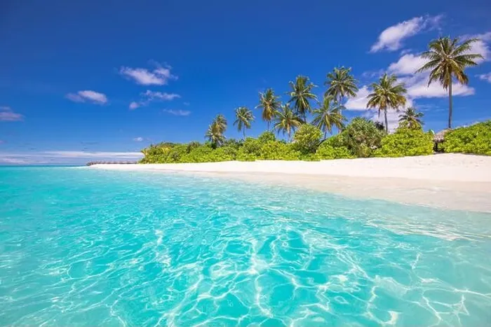 Framed Print : Beautiful tropical beach banner. White sand and coco palms travel tourism panorama. Amazing inspire beach landscape. Luxury island vacation holiday Framed Print : Beautiful tropical beach banner. White sand and coco palms travel tourism panorama. Amazing inspire beach landscape. Luxury island vacation holiday