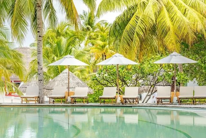 Framed Print : Beautiful tropical beach at resort hotel island. Poolside with chairs, lounger under umbrella and palm trees. Summer holiday, vacation travel concept Framed Print : Beautiful tropical beach at resort hotel island. Poolside with chairs, lounger under umbrella and palm trees. Summer holiday, vacation travel concept