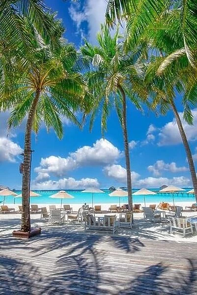 Beautiful tropical beach with white sand and chairs loungers on terrace background of turquoise ocean and blue sky with clouds. Scenic palm trees