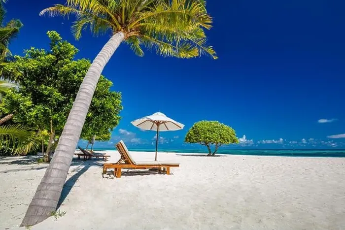 Framed Print : Beautiful tropical beach. White sand and coco palms travel tourism wide panorama background concept. Amazing beach landscape, luxury travel, vacation Framed Print : Beautiful tropical beach. White sand and coco palms travel tourism wide panorama background concept. Amazing beach landscape, luxury travel, vacation