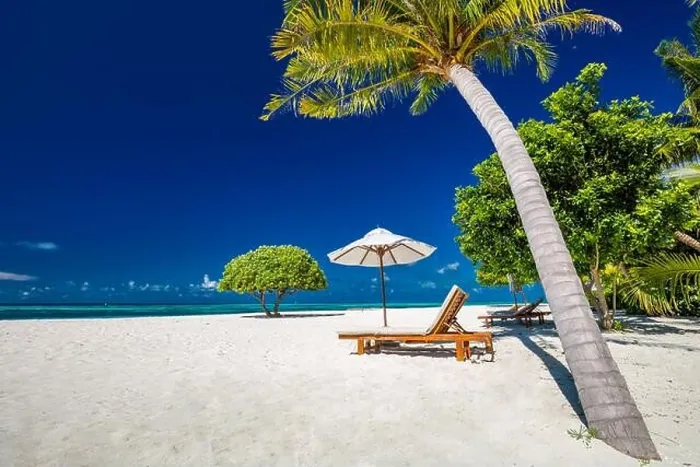 Framed Print : Beautiful tropical beach. White sand and coco palms travel tourism wide panorama background concept. Amazing beach landscape, luxury travel, vacation Framed Print : Beautiful tropical beach. White sand and coco palms travel tourism wide panorama background concept. Amazing beach landscape, luxury travel, vacation