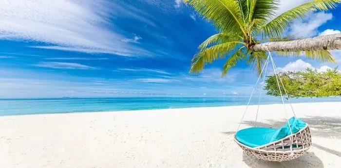 Framed Print : Beautiful tropical island with palm trees and beach swing or hammock panoramic landscape. Luxury travel vacation paradise coast shore sea view inspire Framed Print : Beautiful tropical island with palm trees and beach swing or hammock panoramic landscape. Luxury travel vacation paradise coast shore sea view inspire