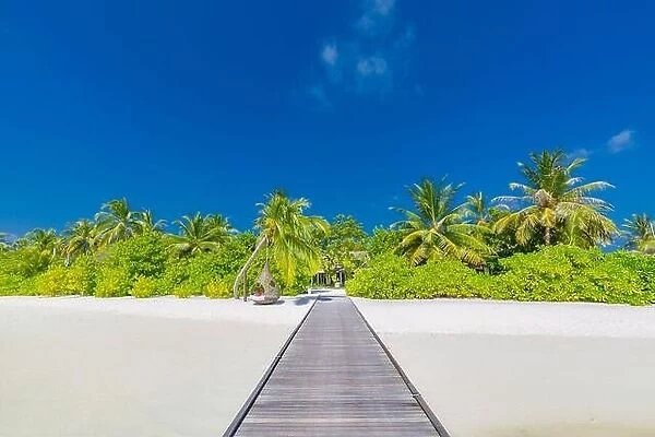 Beautiful tropical Maldives island with beach jetty sea and coconut palm tree on blue sky. Luxury summer nature holiday vacation background concept