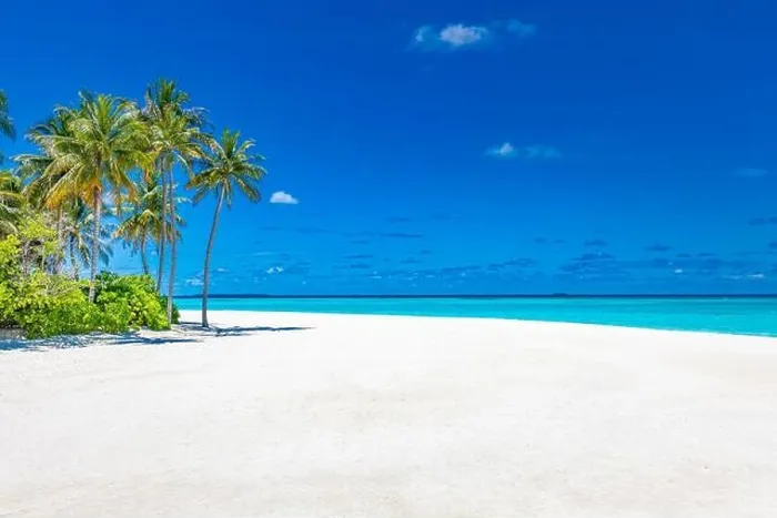 Framed Print : Beautiful tropical Maldives resort hotel island beach and sea and coconut palm tree on sky for holiday vacation background. Luxury travel landscape Framed Print : Beautiful tropical Maldives resort hotel island beach and sea and coconut palm tree on sky for holiday vacation background. Luxury travel landscape