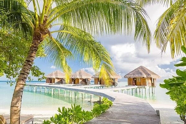 Beautiful tropical Maldives resort hotel water villas. Island with beach and palm leaves over sea on sky. Luxury holiday vacation background concept