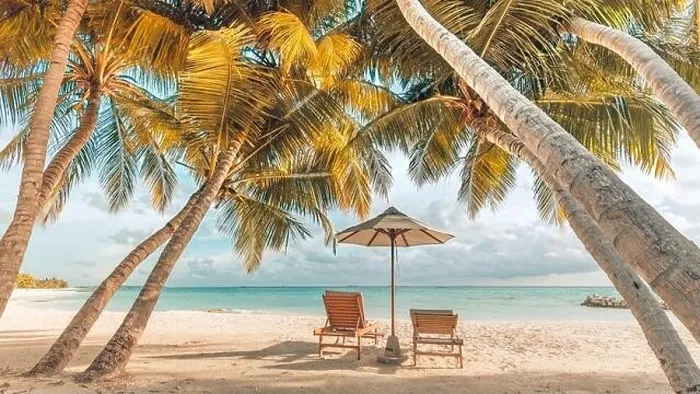 Framed Print : Beautiful tropical sunset scenery, two sun beds, loungers, umbrella under palm tree. Beach white sand, sea view with horizon, colorful twilight sky Framed Print : Beautiful tropical sunset scenery, two sun beds, loungers, umbrella under palm tree. Beach white sand, sea view with horizon, colorful twilight sky