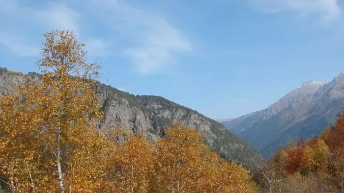 Framed Print : Beautiful view of autumn trees on background of mountains Framed Print : Beautiful view of autumn trees on background of mountains