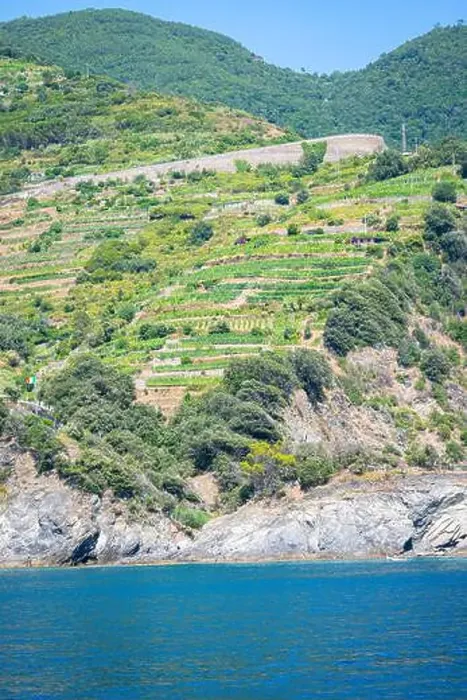 Framed Print : Beautiful view of the coast of Cinque Terre at the Ligurian Sea, Italy with terraces for growing vegeatbles and wine Framed Print : Beautiful view of the coast of Cinque Terre at the Ligurian Sea, Italy with terraces for growing vegeatbles and wine