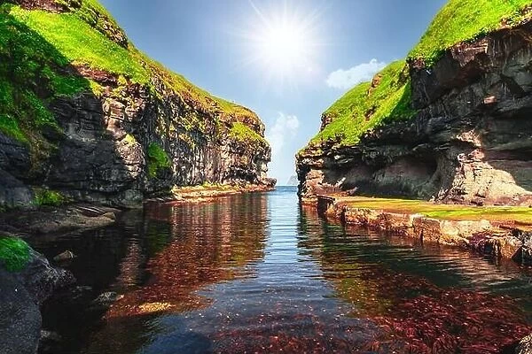 Beautiful view of dock with clear water and red seaweed