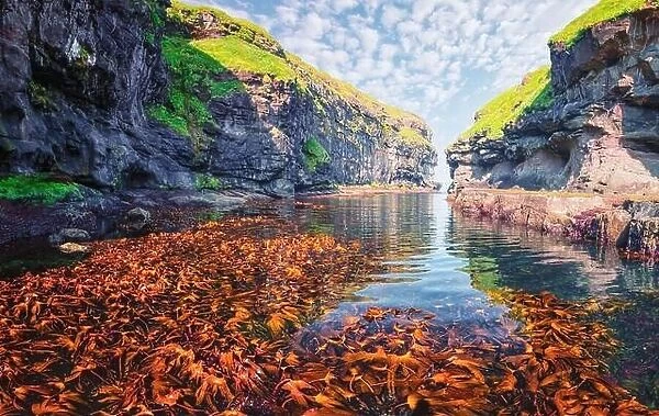 Beautiful view of dock or harbor with clear water and red seaweed in Gjogv village, Eysuroy island, Faroe Islands, Denmark. Landscape photography
