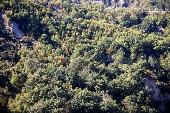 Framed Print : Beautiful view of the forest of Toscana Italy from above photographed with a drone Framed Print : Beautiful view of the forest of Toscana Italy from above photographed with a drone