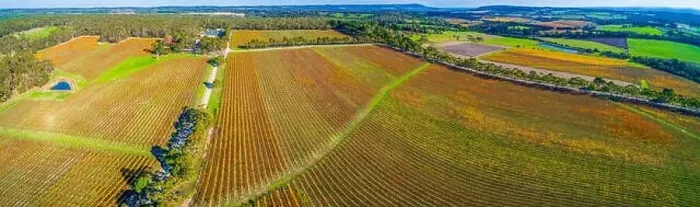 Framed Print : Beautiful vineyard in autumn in Melbourne, Australia - wide aerial panorama Framed Print : Beautiful vineyard in autumn in Melbourne, Australia - wide aerial panorama