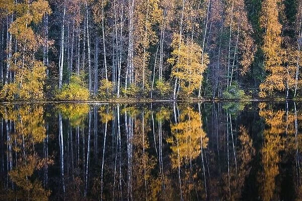 Beautiful water reflection view with fall colors and lake at autumn day in Finland