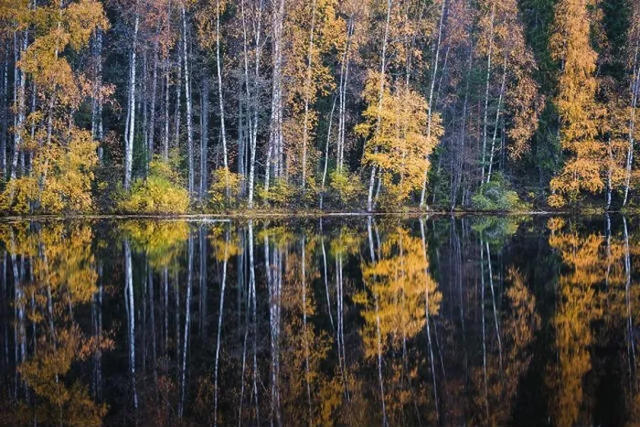 Framed Print : Beautiful water reflection view with fall colors and lake at autumn day in Finland Framed Print : Beautiful water reflection view with fall colors and lake at autumn day in Finland