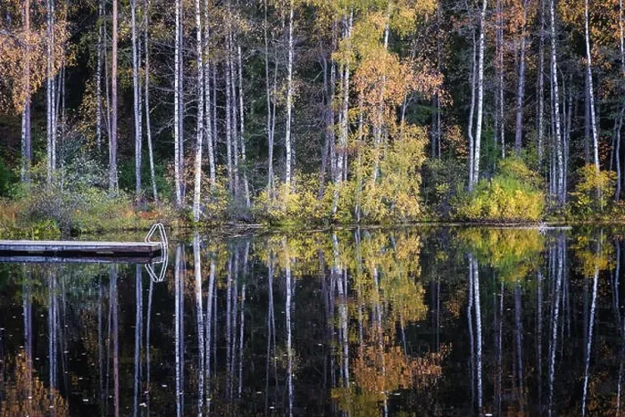 Framed Print : Beautiful water reflection view with fall colors and lake at autumn day in Finland Framed Print : Beautiful water reflection view with fall colors and lake at autumn day in Finland