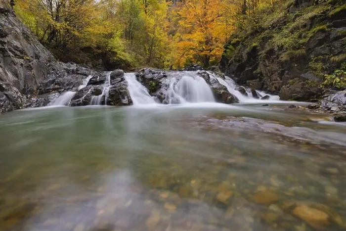 Framed Print : Beautiful waterfall in forest, autumn landscape with lots of red and yellow fallen leaves, long exposure Framed Print : Beautiful waterfall in forest, autumn landscape with lots of red and yellow fallen leaves, long exposure