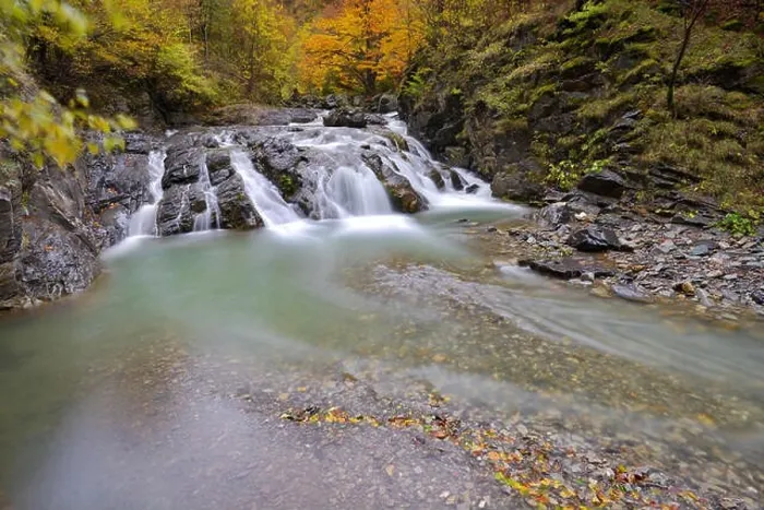 Framed Print : Beautiful waterfall in forest, autumn landscape with lots of red and yellow fallen leaves, long exposure Framed Print : Beautiful waterfall in forest, autumn landscape with lots of red and yellow fallen leaves, long exposure