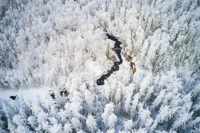 Framed Print : Beautiful winter forest and river Framed Print : Beautiful winter forest and river