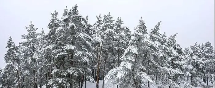 Framed Print : beautiful winter landscape with snow covered trees. panoramic aerial photography with drone