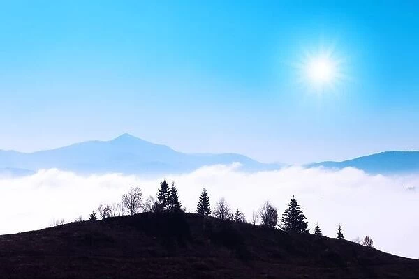 Beauty blue mountains range with clear sky, bright sun and trees silhouette. Landscape photography