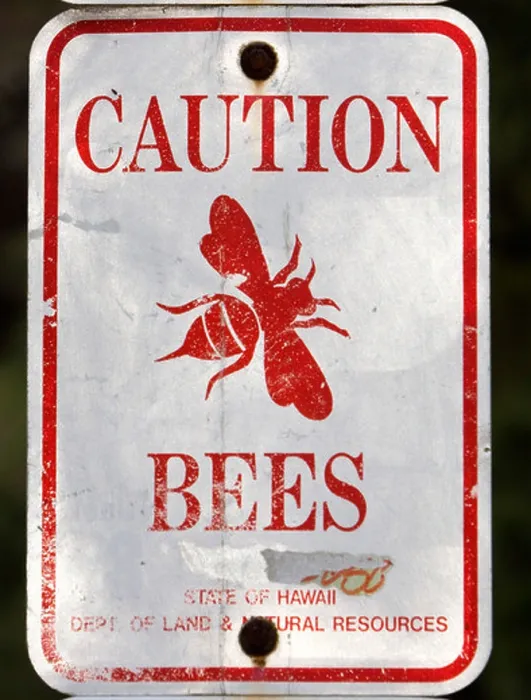 Framed Print : Bee sting warning sign Pali Lookout Oahu Hawaii USA Framed Print : Bee sting warning sign Pali Lookout Oahu Hawaii USA
