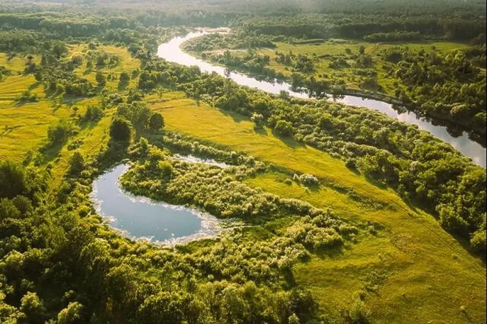 Framed Print : Belarus. Elevated View Of Small Bog Marsh Swamp Wetland, River And Green Forest Landscape In Sunny Summer Day. Attitude View. Forest In Bird's Eye Framed Print : Belarus. Elevated View Of Small Bog Marsh Swamp Wetland, River And Green Forest Landscape In Sunny Summer Day. Attitude View. Forest In Bird's Eye