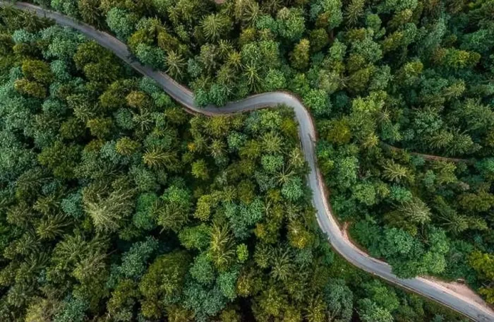Framed Print : A bending road from above leading through a green forest Framed Print : A bending road from above leading through a green forest